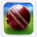  Cricket Worldcup Fever Android Game
